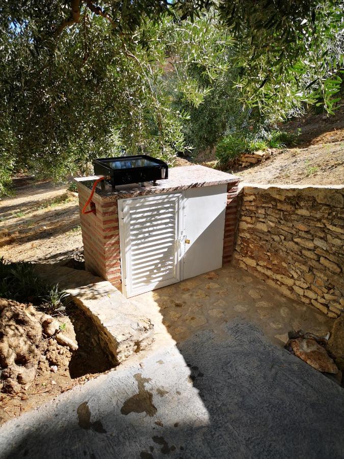 Apartamento El Carmen Setenil De Las Bodegas 外观 照片