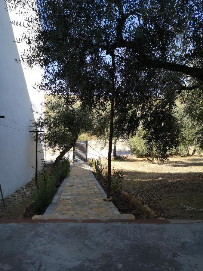 Apartamento El Carmen Setenil De Las Bodegas 外观 照片